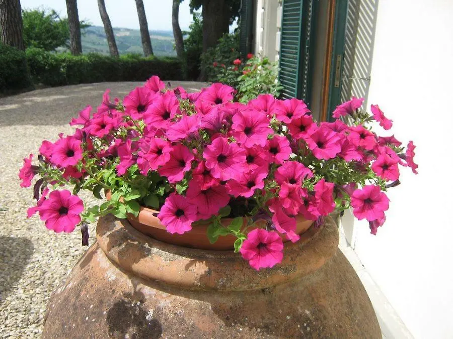 Villa Prono Greve in Chianti Italy